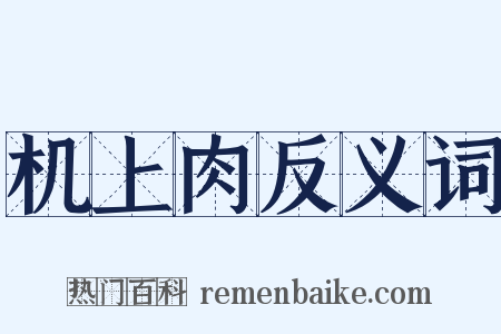 机上肉反义词是什么意思的图片